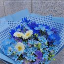 노엘농장 이미지