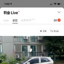 주정차 단속 - 010 이미지