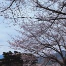 밀양루(RO) 이미지