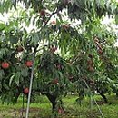 곰마을민박 이미지