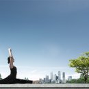 월드휘트니스 이미지