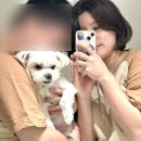 스테이 태정93 이미지