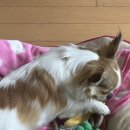 (주)가드림 이미지