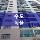 문장로-14 이미지