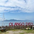 올랑고디또 이미지