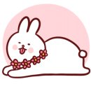 하얀기린 동물병원 네이버블로그
