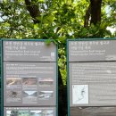 비둘기낭마을 | 포천 가볼 만한 곳 추천! 비둘기낭 폭포 완벽 방문 후기