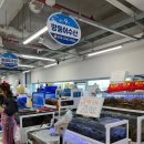 망둥어수산