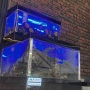 둥지짬뽕 | 원주 뼈대있는짬뽕ㅣ주말 웨이팅 원주맛집 내돈내산후기