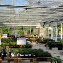 헬로우마켓 이미지