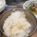 낙동청둥오리숯불구이 네이버블로그