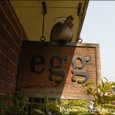 에그(EGG)