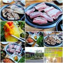 자연숯불갈비 | 양산 통도사 맛집 [자연숯불갈비] 내돈내산 후기 / 양산삼겹살 양산돼지갈비 추천