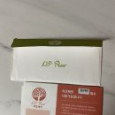 매곡놀이터 | 리프패럿 울산 매곡점 앵무새 카페 후기