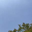 메디사랑의원 | 임신준비 5편, 창원 난임일기｜엘르메디 5과 배란 2개 성공🫧 배란유도제 IVF 주사 부작용 정리 (+추가)