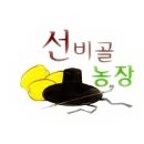 참외생태학습원 이미지