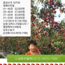 김옥수농장 이미지