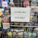 연이의보물선 이미지