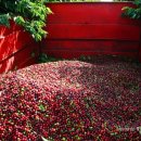 대인농장 이미지