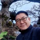 존자암지 이미지