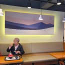 서부119안전센터 화장실 | 여행 : 삼락동 가볼만한곳 : 삼락생태공원 낙동제방벚꽃길 (벚꽃+개나리+서부해당화+황매화+철쭉 상세위치)