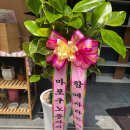 협동조합희망밥집 이미지