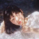 백아 이미지