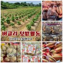 버클리어린이집 이미지