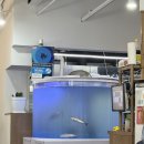 세븐일레븐 한양본점 이미지