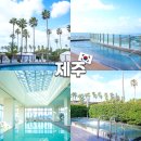 평화사우나휘트니스 | 제주 그랜드조선 힐스위트 수영장 사우나 부대시설 후기