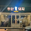 씅난돼지 - 진주시 초전북로61번길 25-8 | 씅난돼지