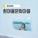 흰여울마을안내센터 | [경상/부산] 흰여울문화마을 탐방기(코스/주차/소품샵/포토존)