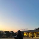 남원델몬트 | 광주 근교 드라이브 가기 좋은 남원 아담원 , 남원 대형 카페