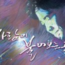바람이 불어오는 곳 이미지