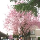 (주)피디엑스 이미지