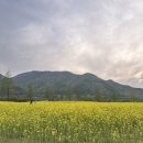 리치엠 - 금천구 가산디지털2로 14 | 리치엠