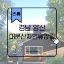 숲속의 계곡 | 양산 대운산자연휴양림계곡 숲속의집 후기
