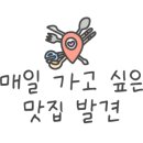 웰빙과일통에빠진돼지들 네이버블로그