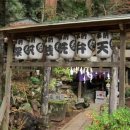 신사세탁 이미지