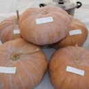 홍동농장2 이미지