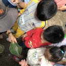 용암병설유치원 이미지