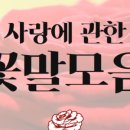 송판사꽃집 네이버블로그