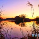 천상의 노을 Daum카페