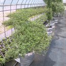 주산산업고등학교 이미지