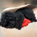 힙걸짐 | 일상 | 우당당탕 대부도 여행