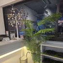 아델 | 아델필라테스 후기, 명일동필라테스 제대로 배운 날