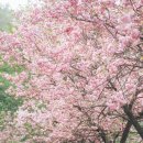 꾀꼬리봉 화장실 이미지