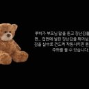 미스터스팀