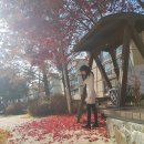 초중 어린이공원 1 이미지