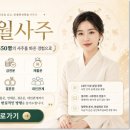 사자 꿈 사자 꿈해몽 새끼 사자 꿈 쫓기는 꿈 물리는 꿈 잡는 꿈 보는 꿈 싸우는 꿈 이미지